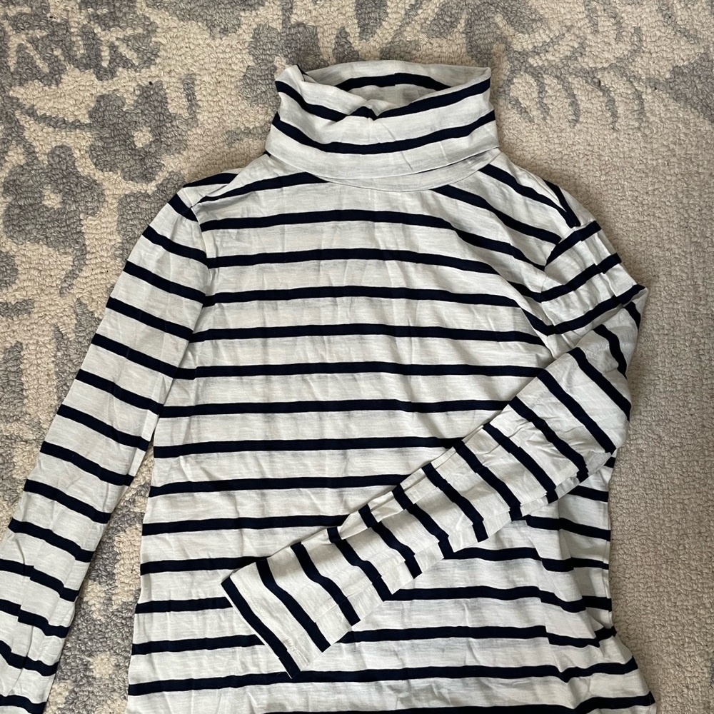 Madewell Whisper Cotton Navy and White Turtleneck in Kearney Stripe